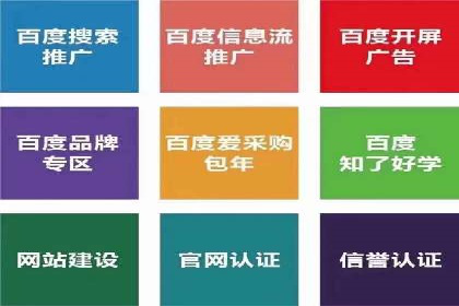 成功案例：竞价推广助力企业实现品牌多元化